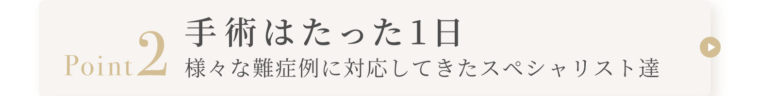 Point2 手術はたった1日 様々な難症例に対応してきたスペシャリスト達